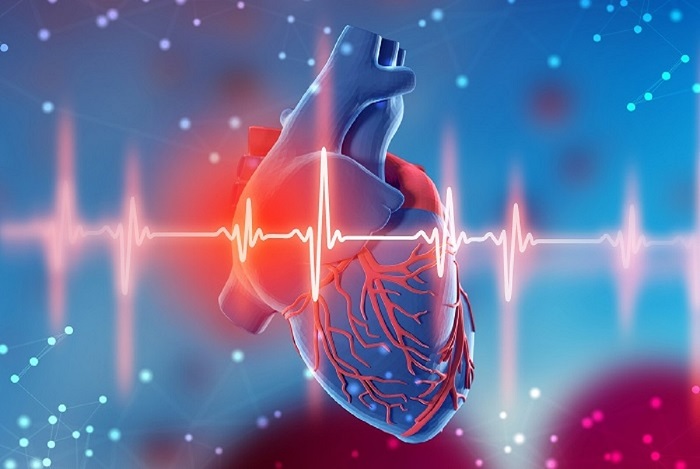 شناسایی بیماری‌های قلبی توسط هوش مصنوعی