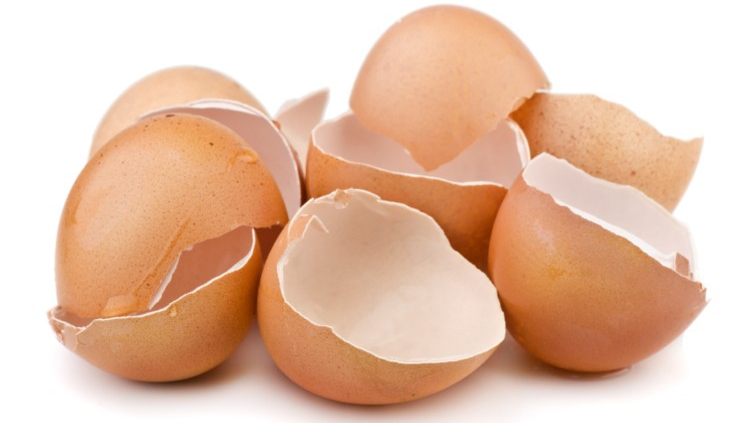 فواید پوست تخم مرغ